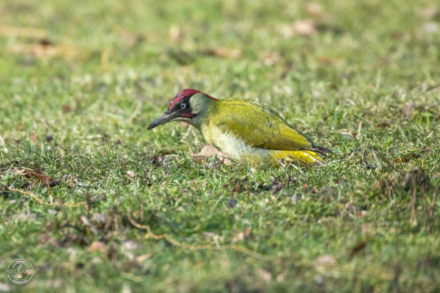 11 maart 2023 141425 1R2A0820 bewerkt